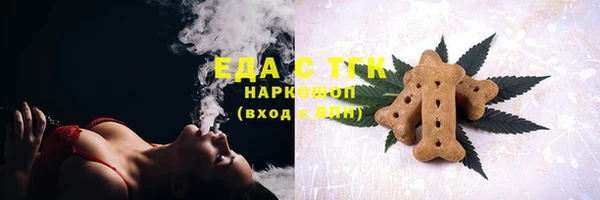 СК Новозыбков