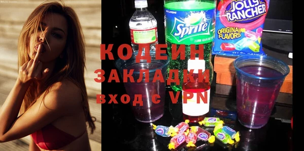 СК Новозыбков