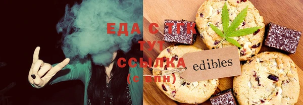 СК Новозыбков