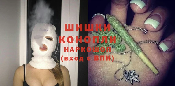 СК Новозыбков