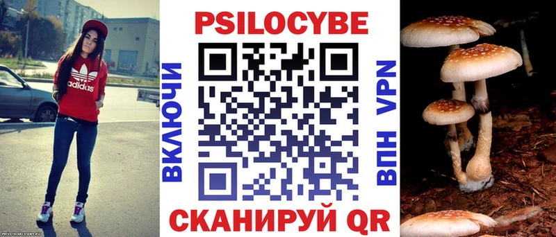 сколько стоит  Белая Холуница  Псилоцибиновые грибы MAGIC MUSHROOMS 