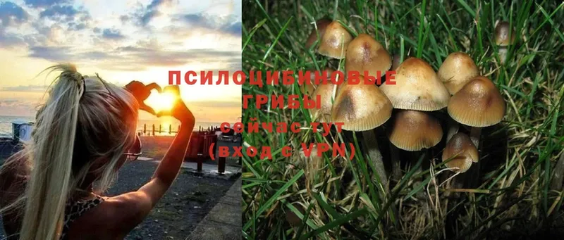OMG сайт  Белая Холуница  Галлюциногенные грибы прущие грибы  купить наркотик 